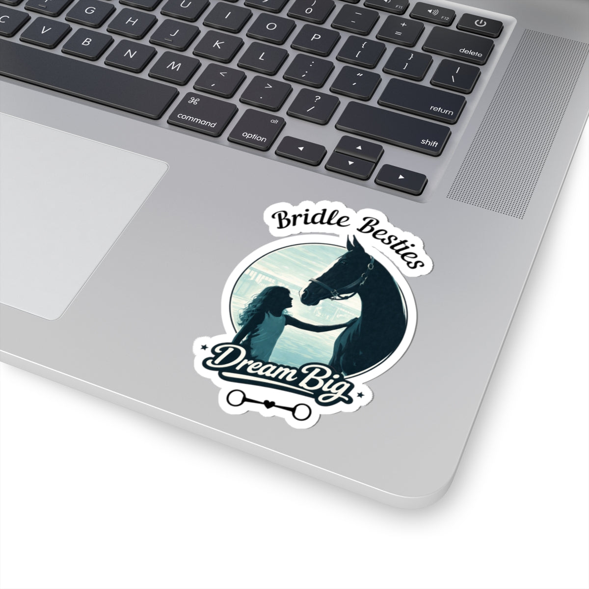 Dream Big Horse Girl Sticker - view 19
