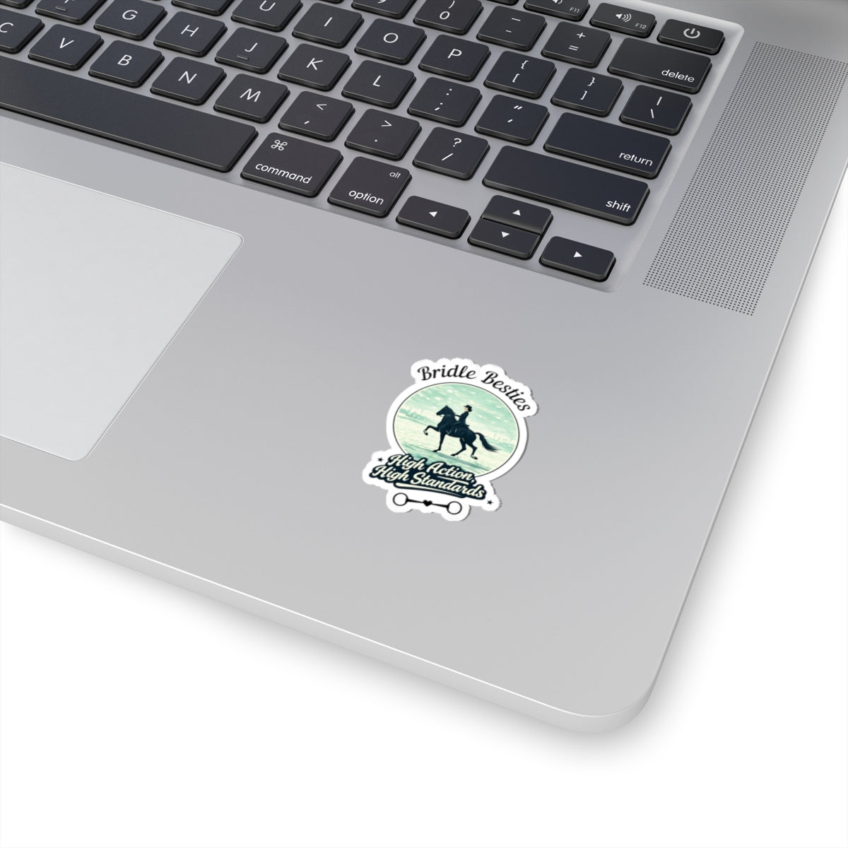 High Action, High Standards Saddle Seat Horse Show Sticker - view 11