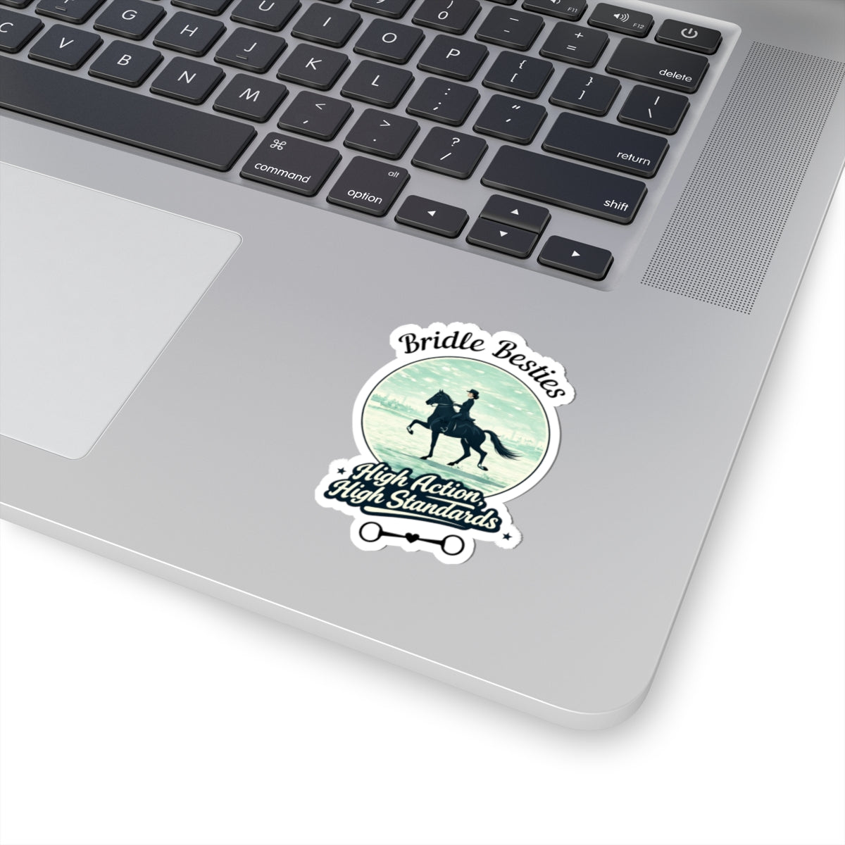 High Action, High Standards Saddle Seat Horse Show Sticker - view 15