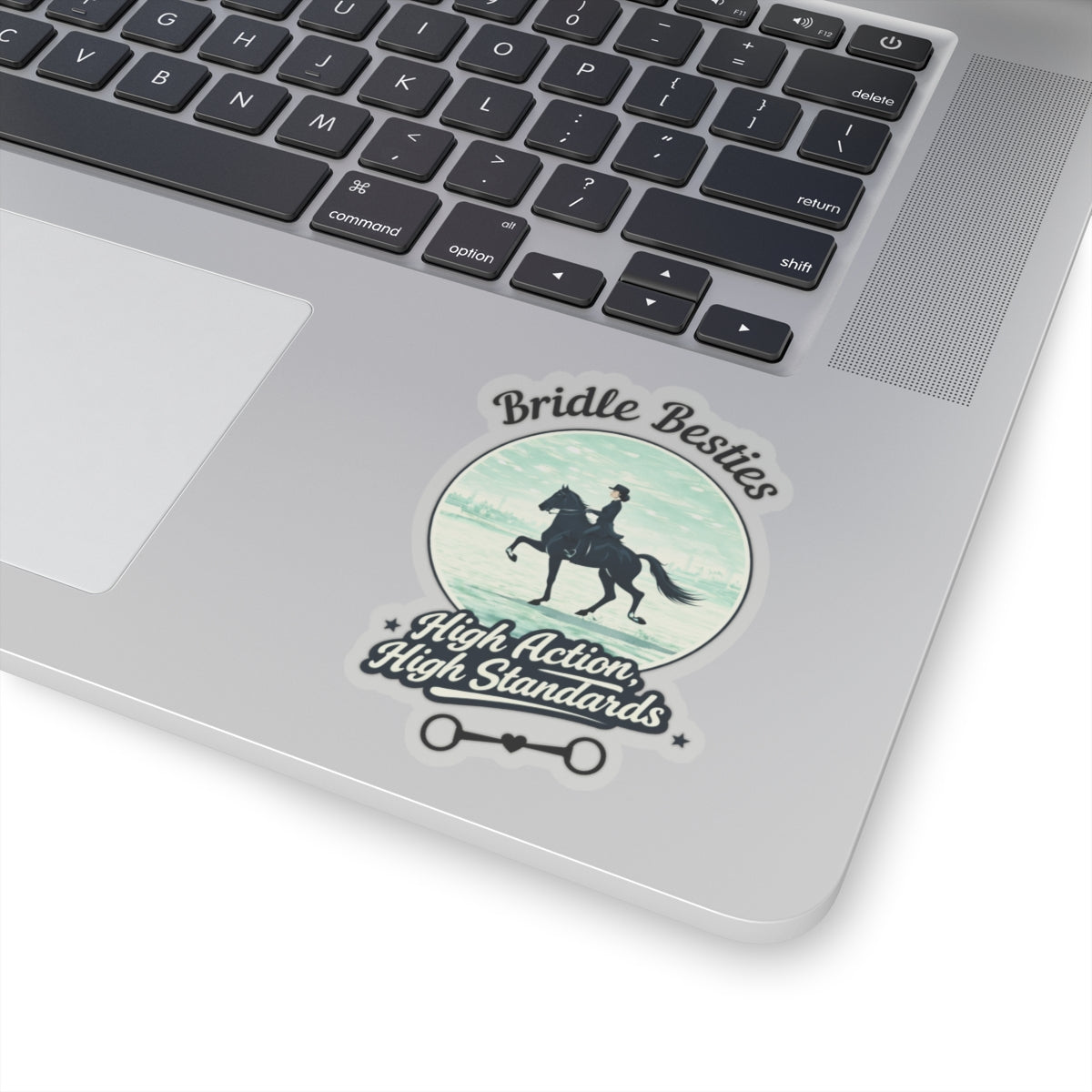 High Action, High Standards Saddle Seat Horse Show Sticker - view 17