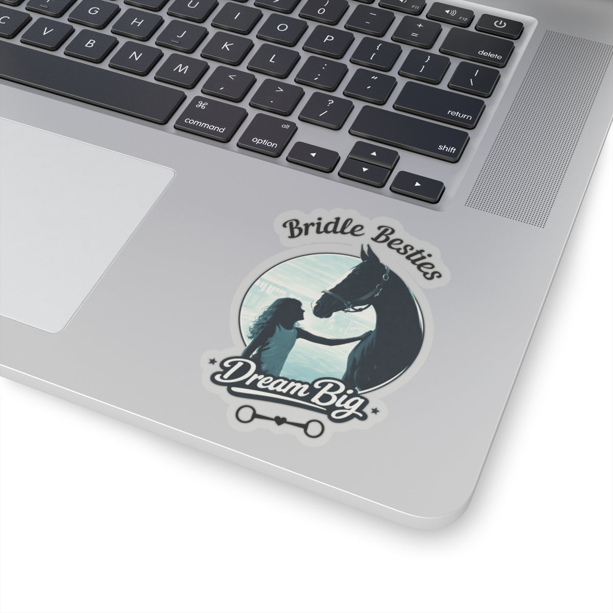 Dream Big Horse Girl Sticker - view 17