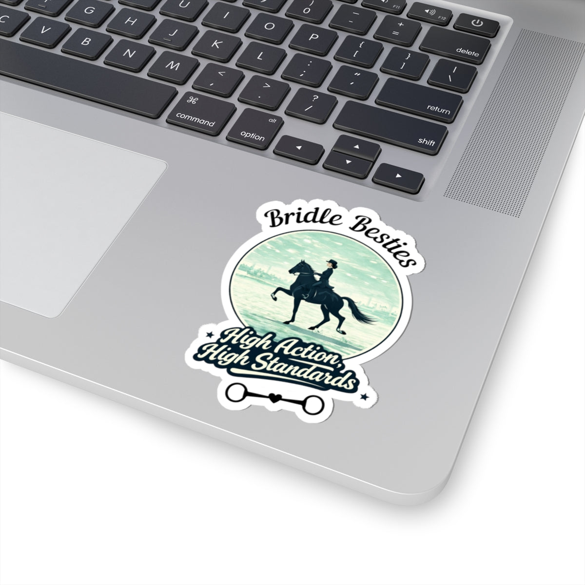 High Action, High Standards Saddle Seat Horse Show Sticker - view 19