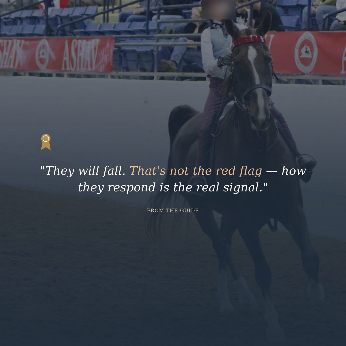 Choosing the Right Youth Riding Program: Complete Parent Toolkit